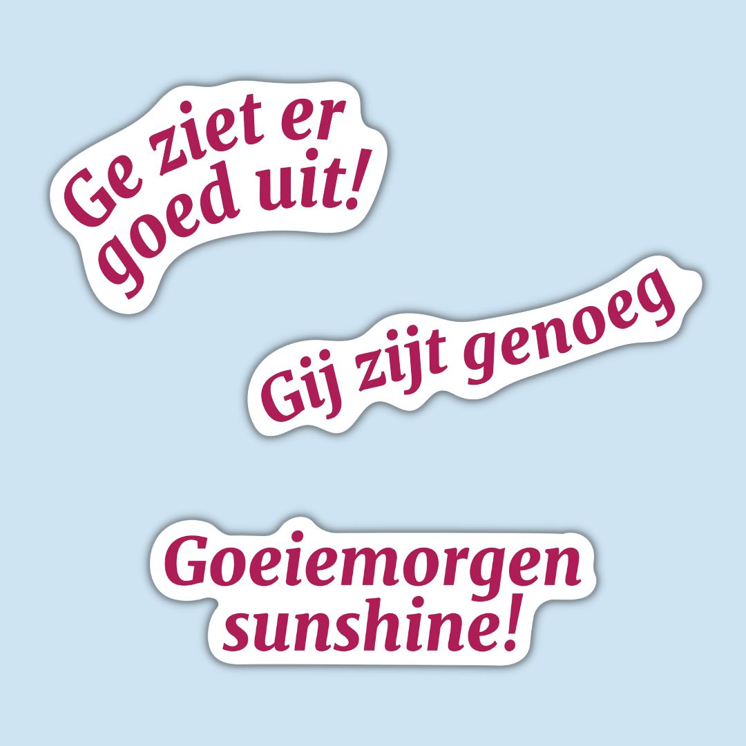 Set spiegelstickers (3 STUKS)